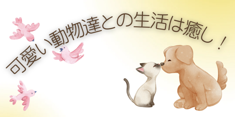 可愛い動物達との生活は癒し！